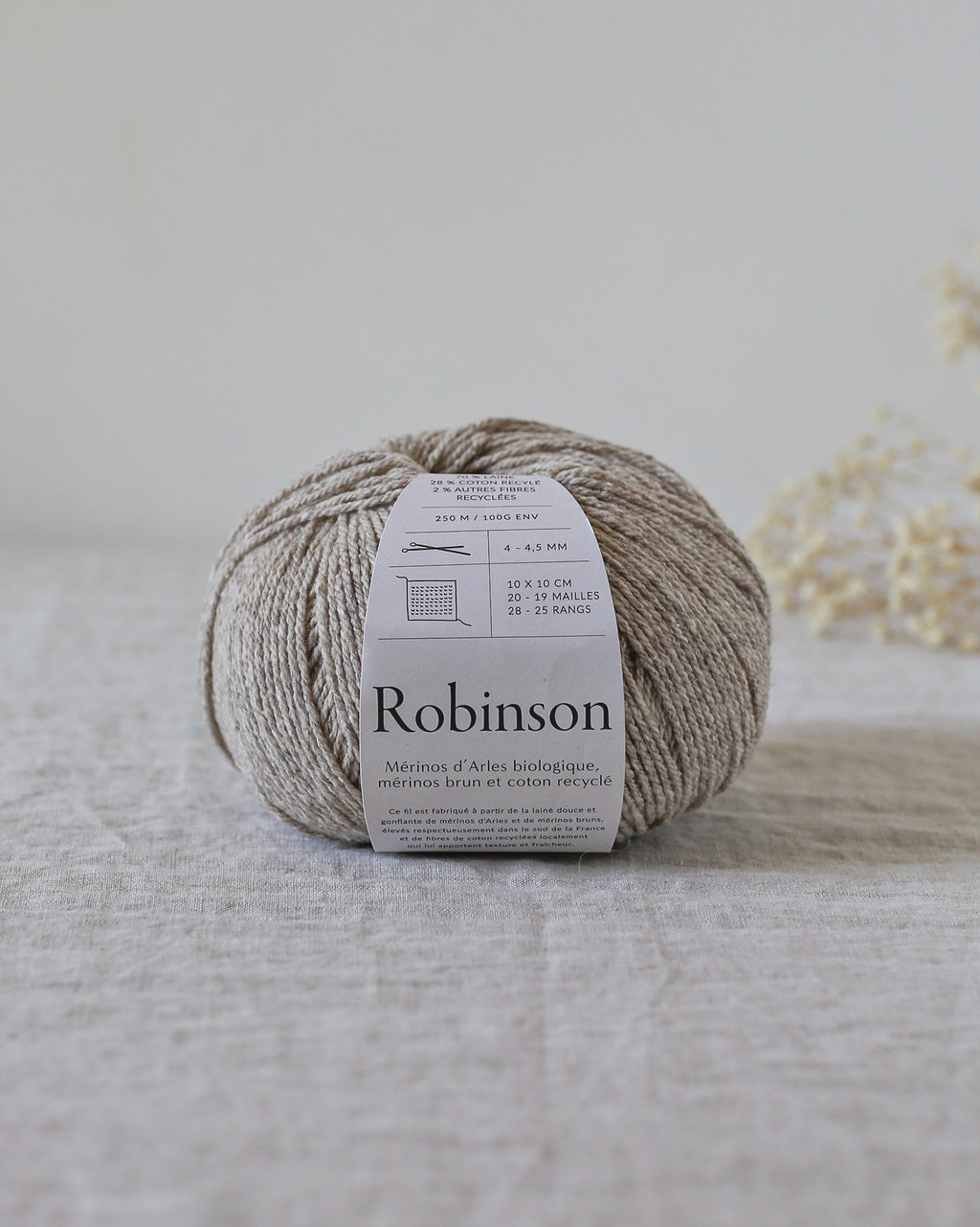 De rerum natura Robinson