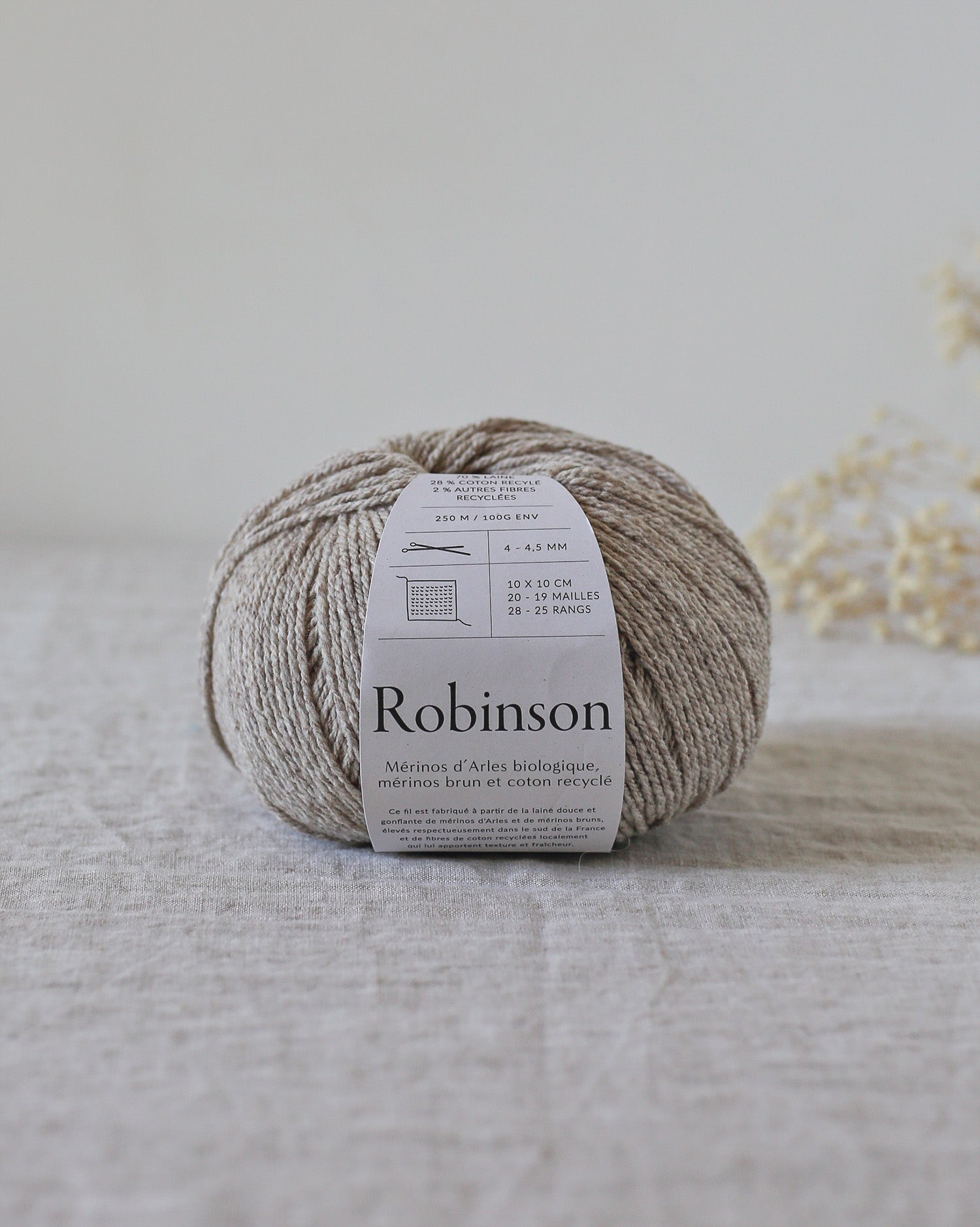 De rerum natura Robinson