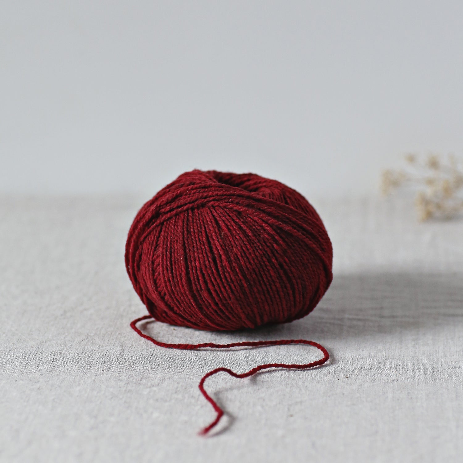 De rerum natura Ulysse