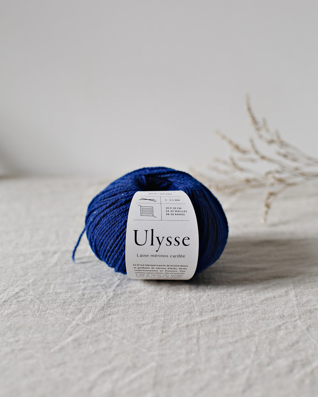 De rerum natura Ulysse