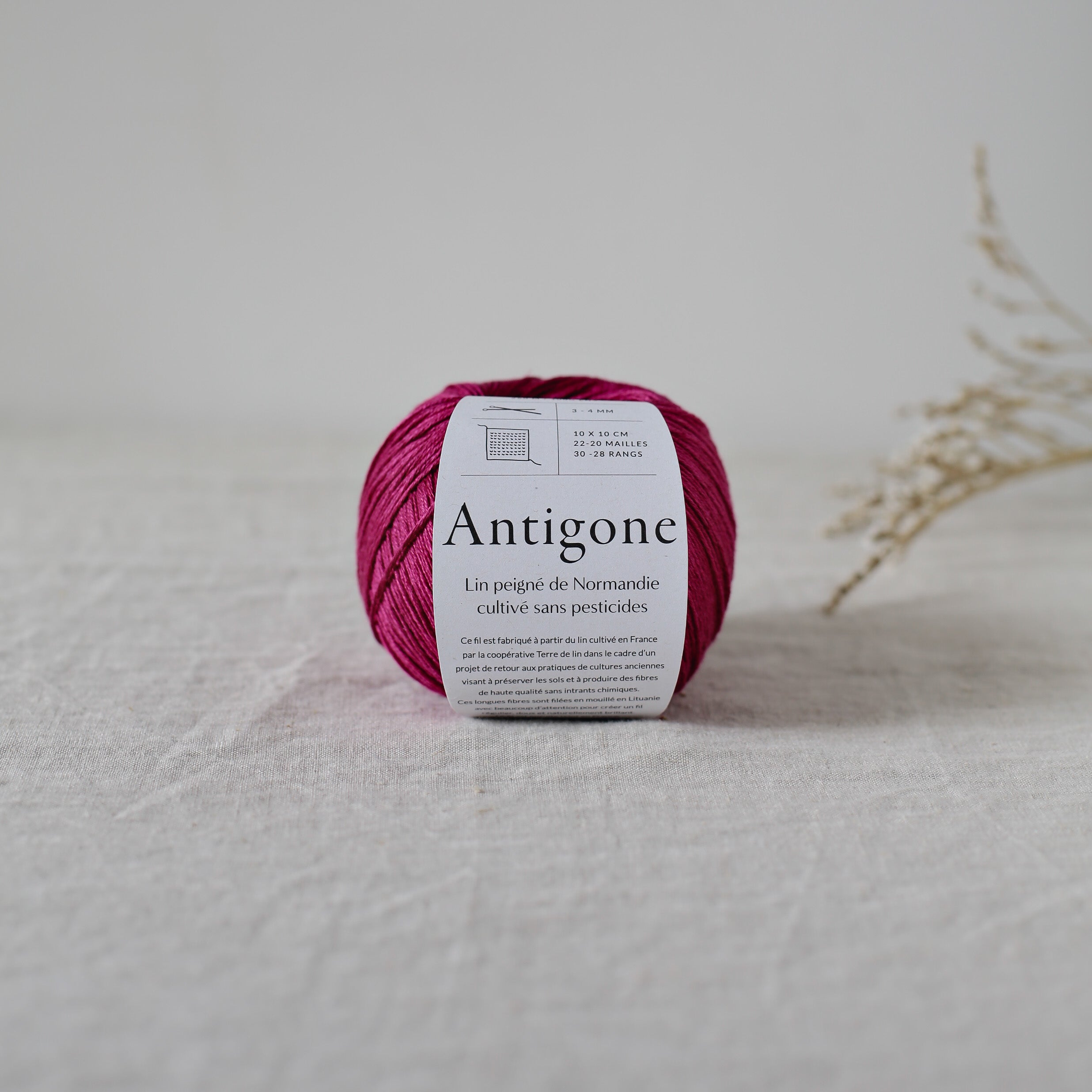 De rerum natura Antigone