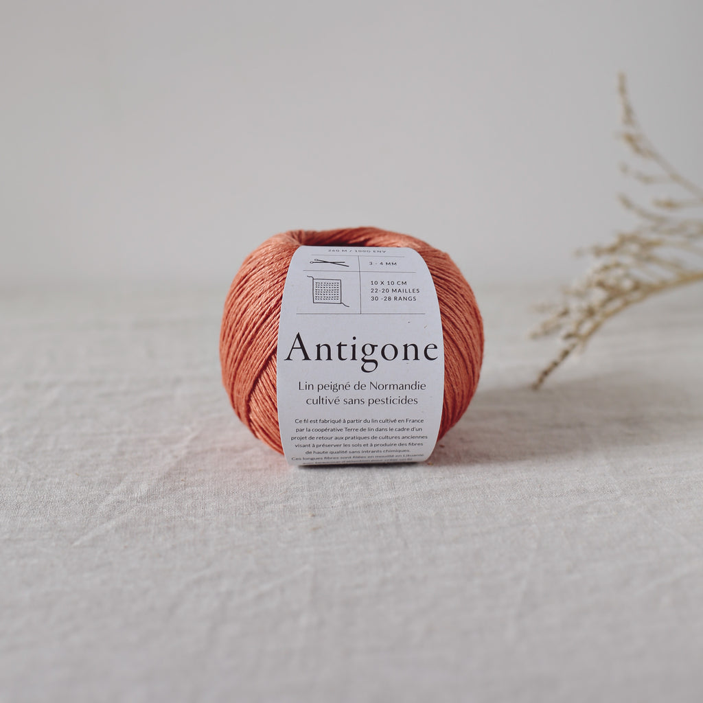 De rerum natura Antigone