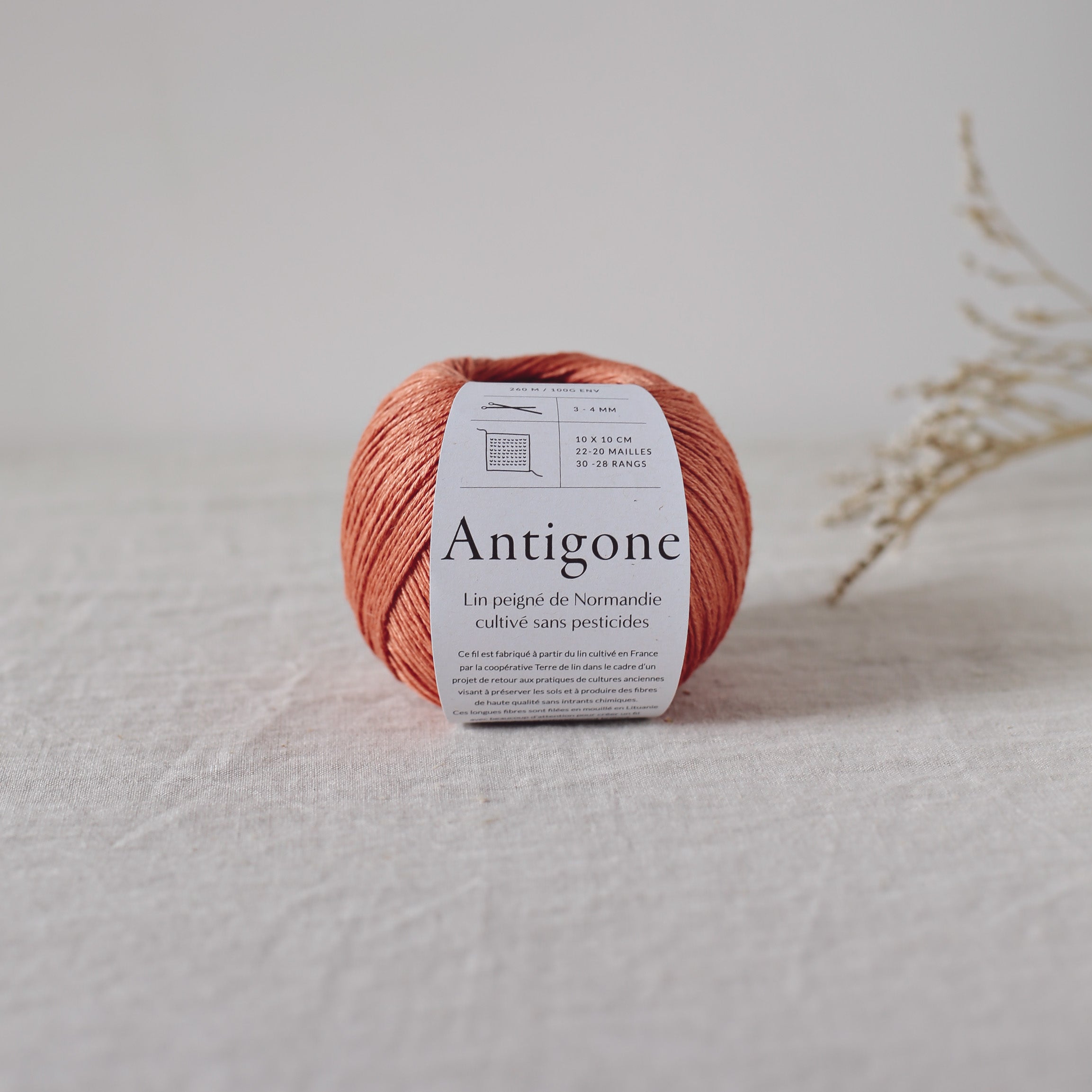 De rerum natura Antigone