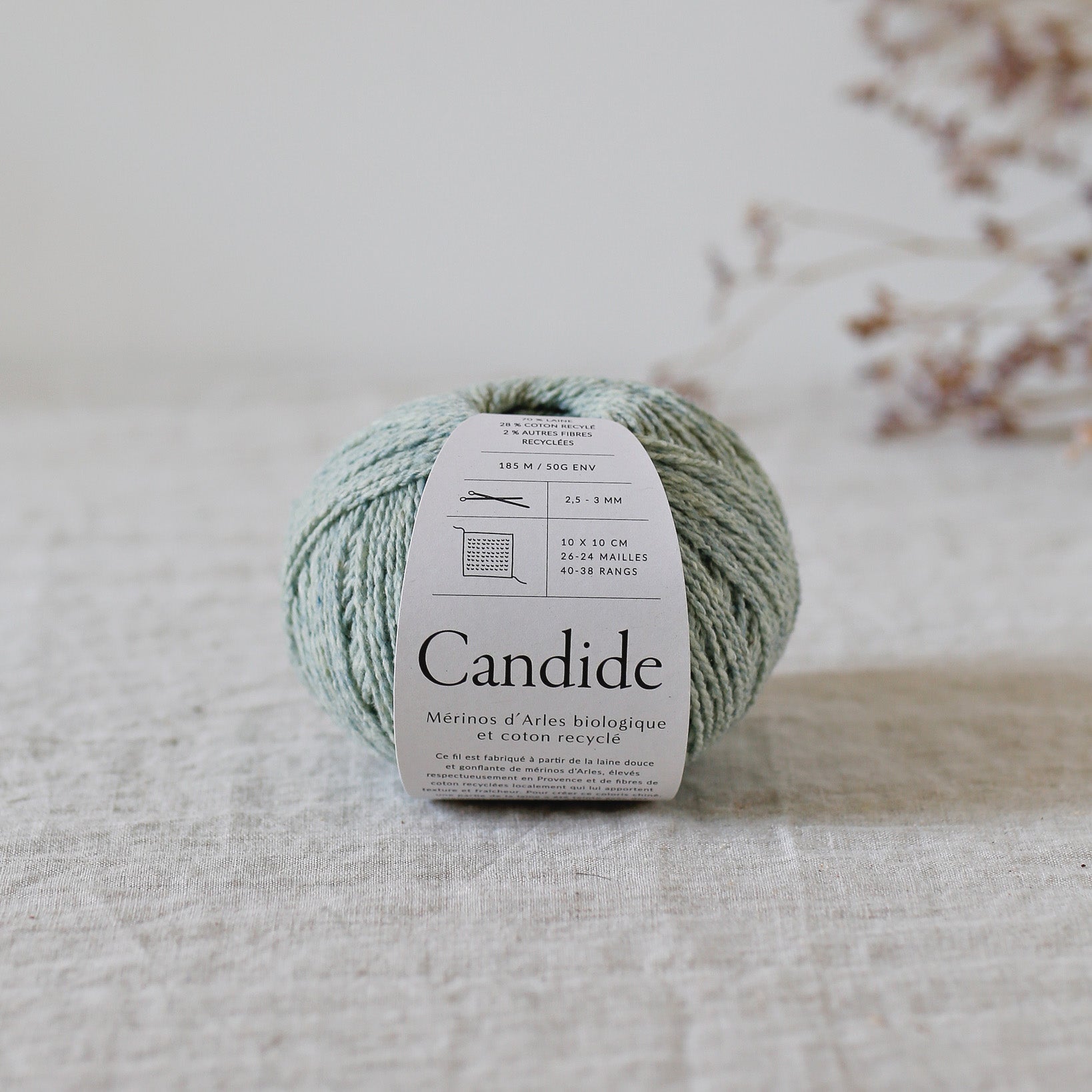 De rerum natura Candide