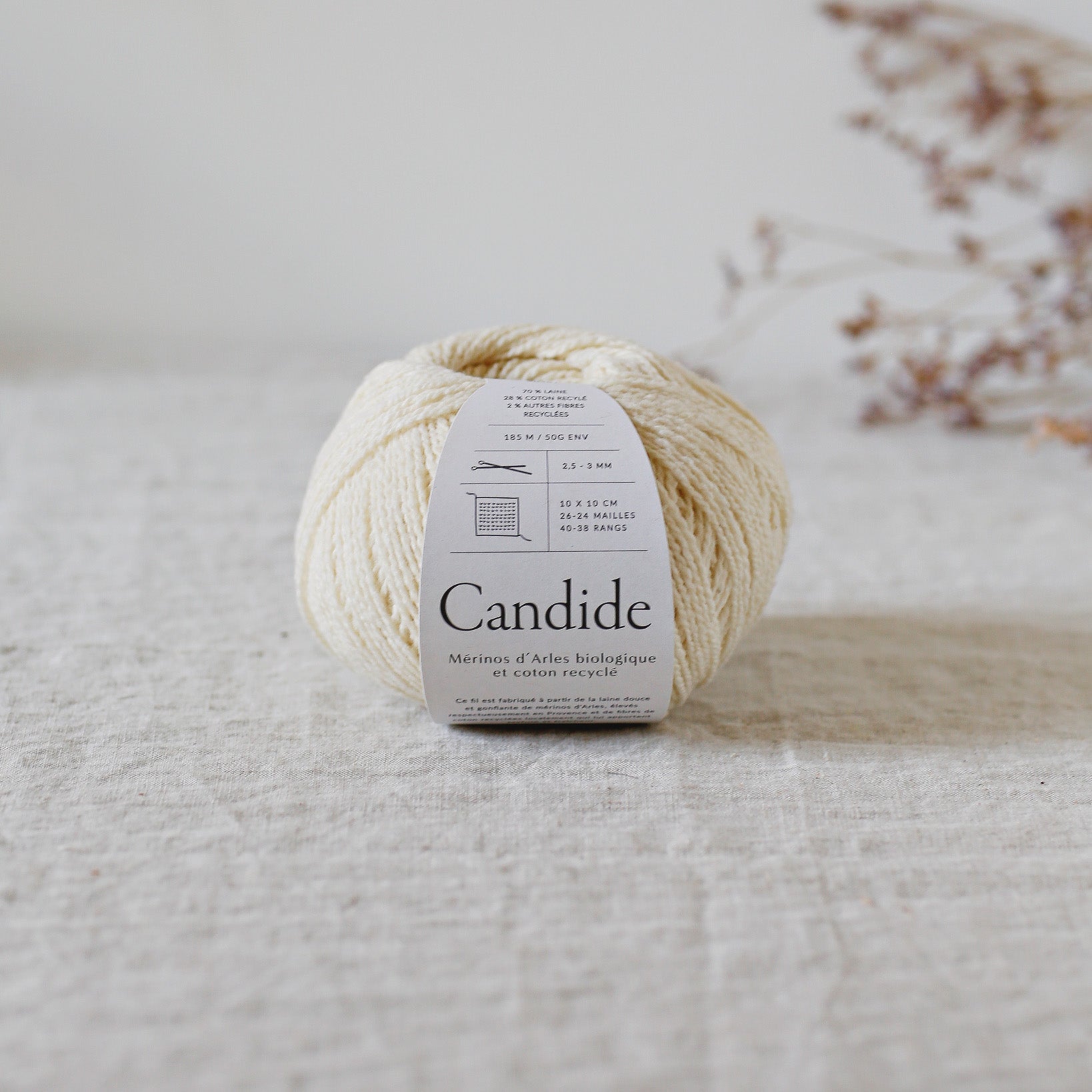 De rerum natura Candide